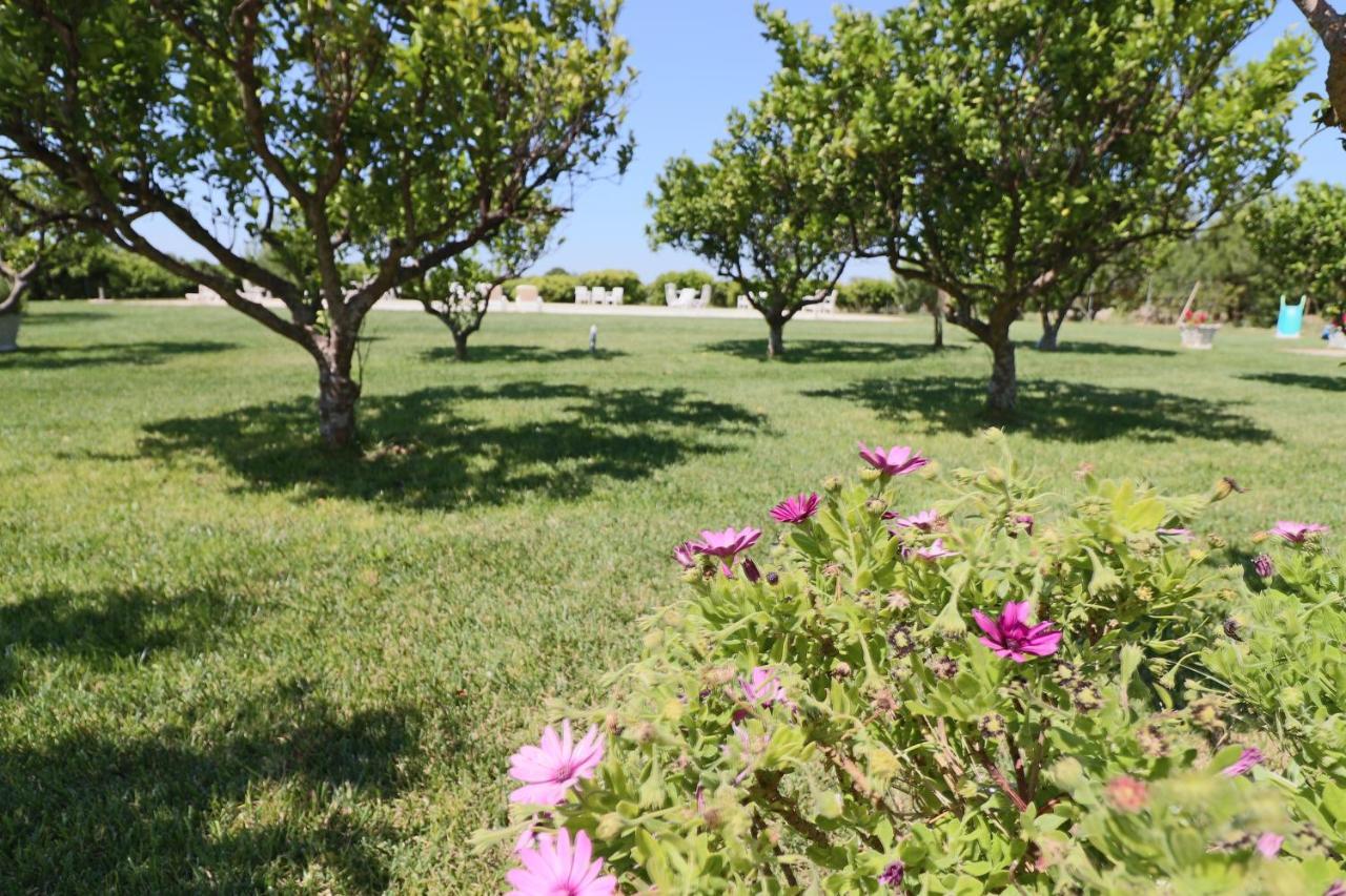 Tenuta Degli Agrumi Carmiano  Exteriör bild